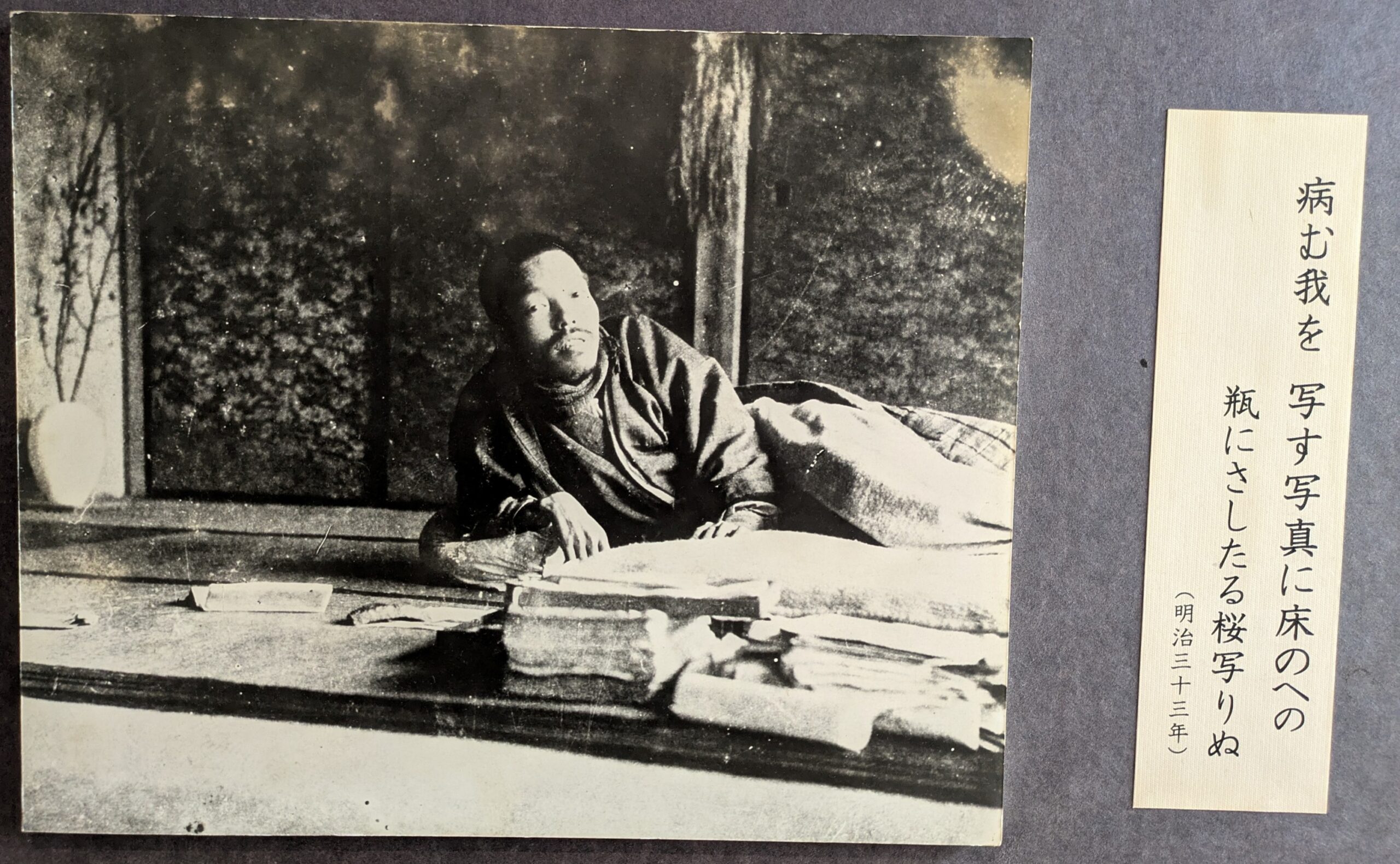 正岡子規 　明治の文学  第20巻 imgshiki.jpg